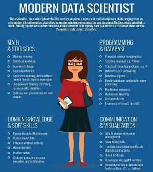 Modern data scientist.jpeg